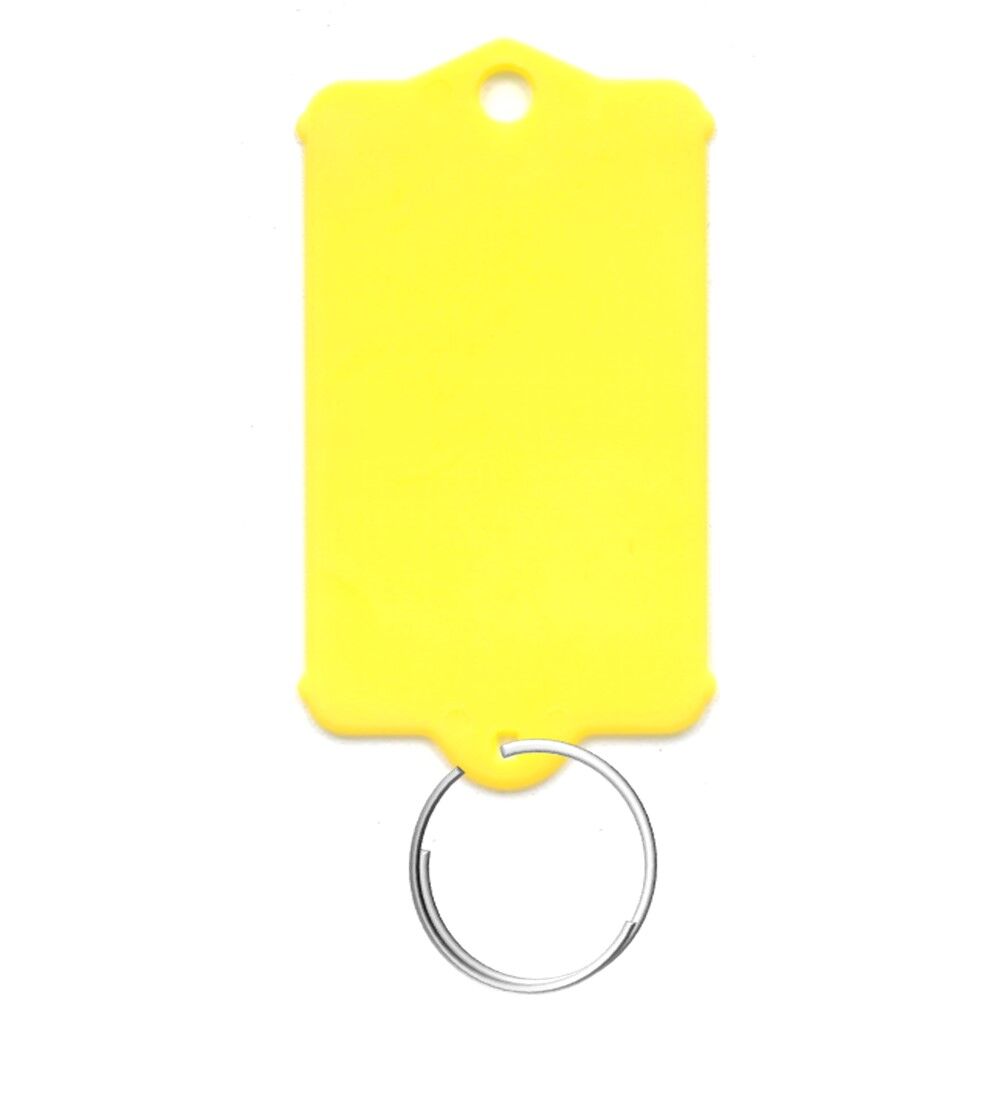 Porte-cls vierge - Modle 1  anneaux - Lot de 200 pices + 2 marqueurs permanents