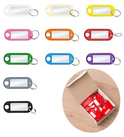  Porte-cls basique - 100 pices 