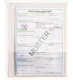 Pochette transparente cartes grises - A5 avec bord perfor - 50 pices