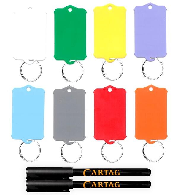 Porte-cls vierge - Modle 1  anneaux - Lot de 200 pices + 2 marqueurs permanents